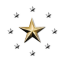 Star Council