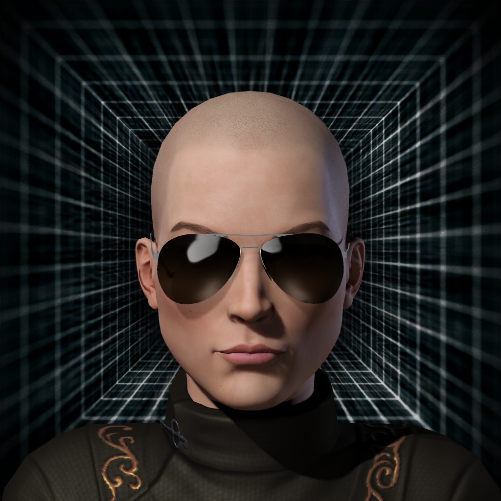 SAEVITIA INC CEO