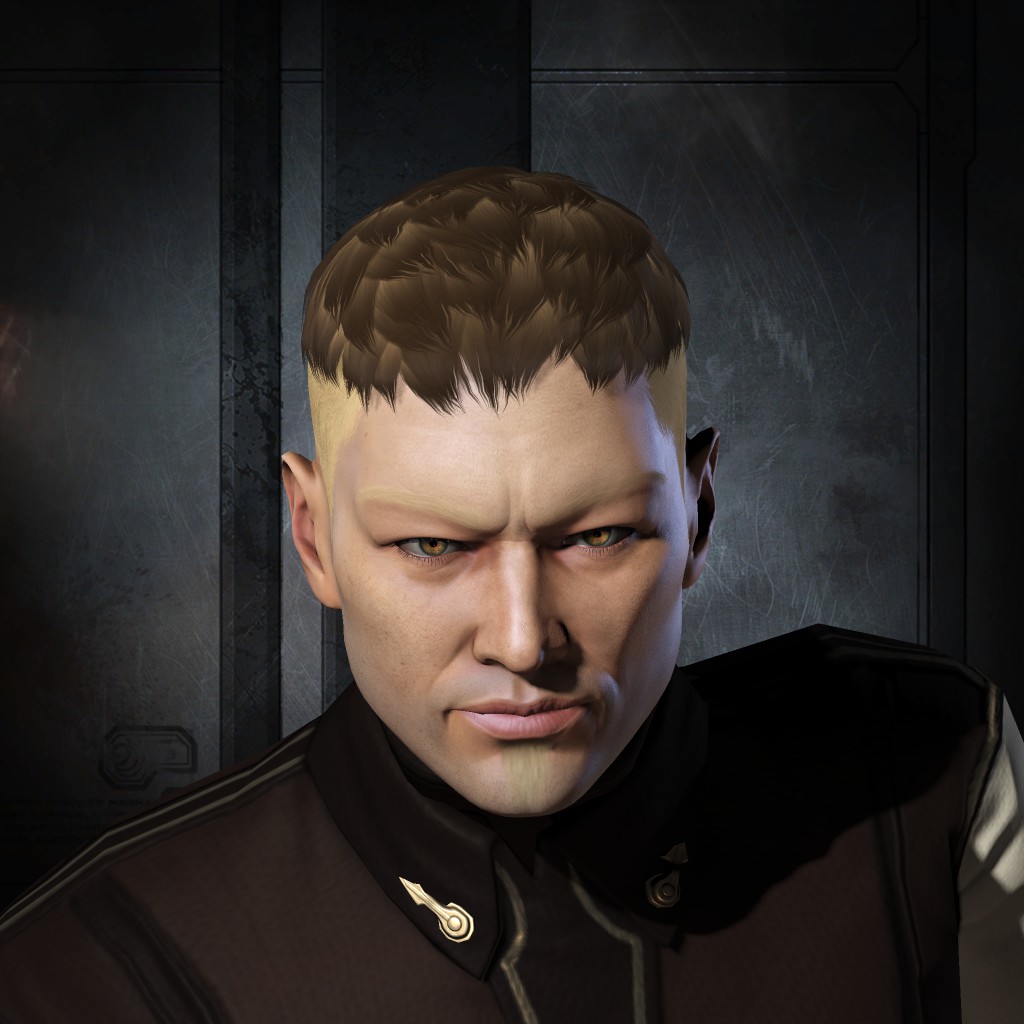Caldari Ayasekill