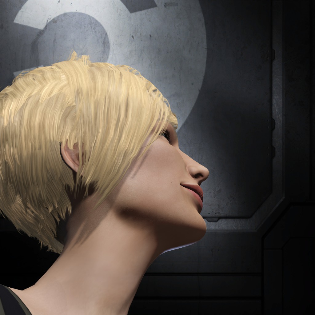 Saylor 001