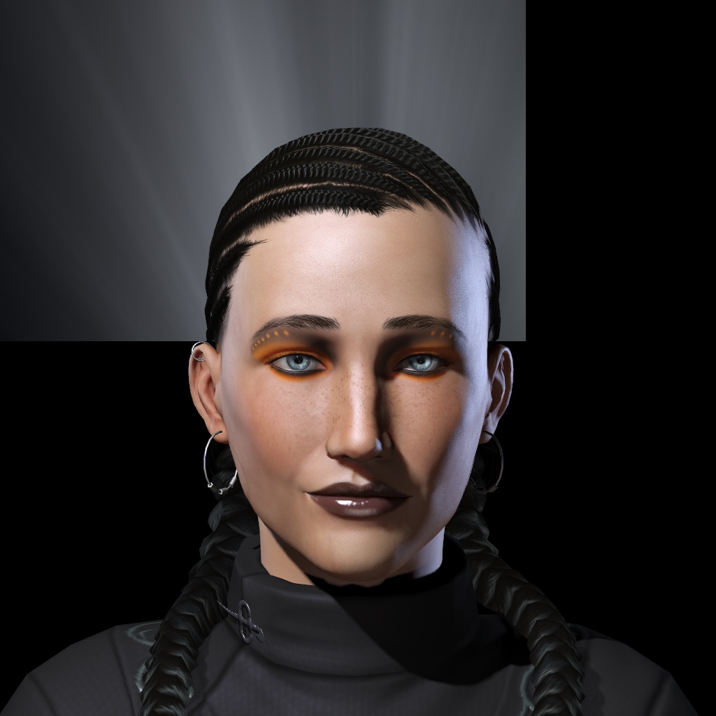 CEO Altitus