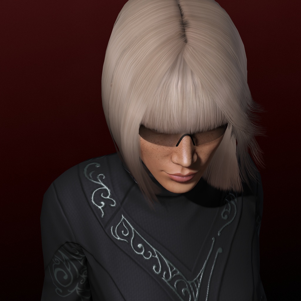 Vita Wolkenritter