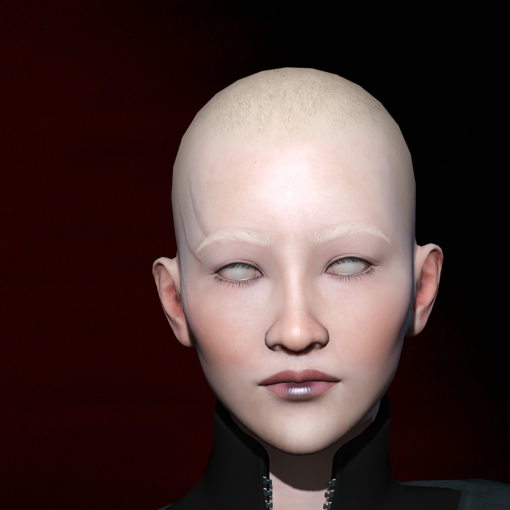 Jingshen Dolle