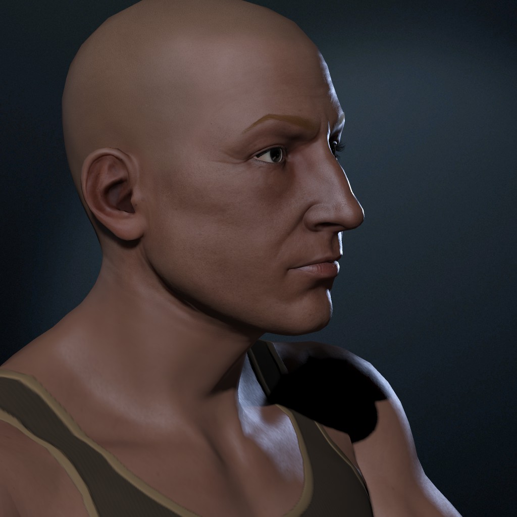 Africanized Honey Bee