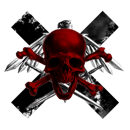 Amarr Special Operational Forces
