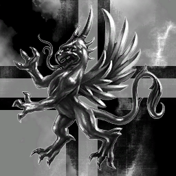 1ST Amarr Caldari Task Force