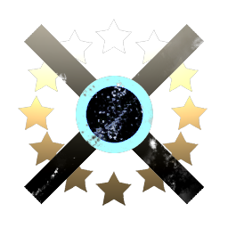 The Valley Forge Academy