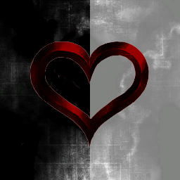 1x commodo combibo in meus donger