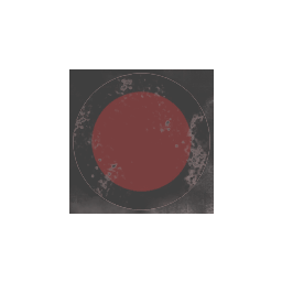 The Python Project