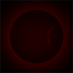 The Black Moon Society