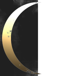 Lunar Incorporated