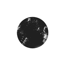 Circle Of Two