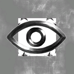 Videmus Omnia