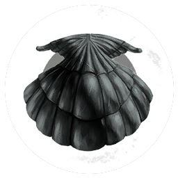 Coral Inc.