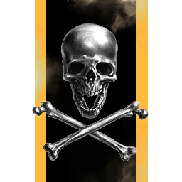 VF-84 Skull Squadron