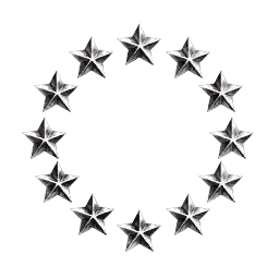 Unaligned Directorate