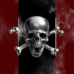 Awsome Ninja Pirates