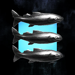 Sharkbait Corp