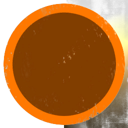 Trans-Solar Services