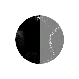 Terrestrial Research and Industrial Xploration