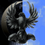 Black Eagle Guard
