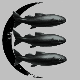 Unseen Barracudas