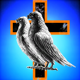 Dragon Roost LLC