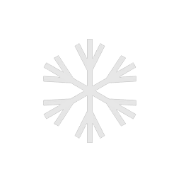 First Snow Flake