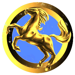 Anarchy Romanian Corp