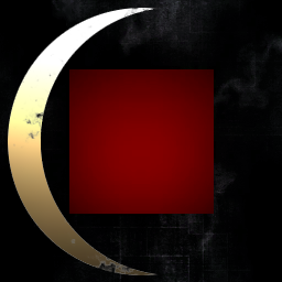 S.Y.N