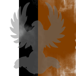 Dark Hawk inc.