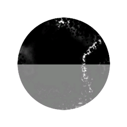Dead 0n Arrival