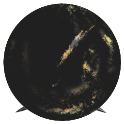 FATSUN