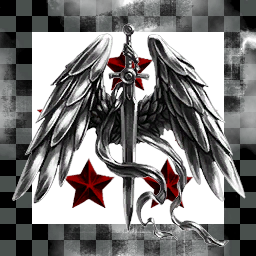 5th Heavy Recon Wing - Void Stalkers
