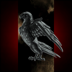 Black Raven Ltd.