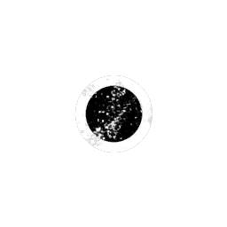 Zerg Inc