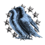 Bluebird Wing