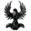 BlackBird RECON Operation