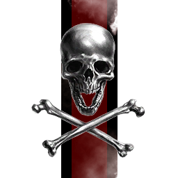 THE BLOOD RAIDER PIRATES
