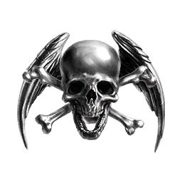 Pirate Inc
