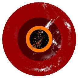 The Icarus Foundation