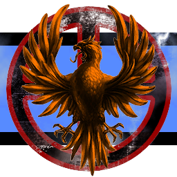 Pheonix Vigilantes
