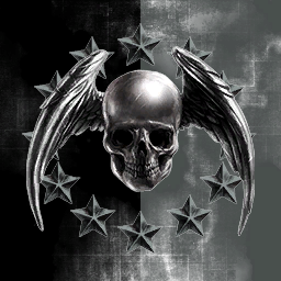 Shadow Allegiance