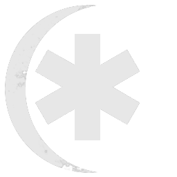 The Brotherhood of Aeternus