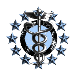 Blue ICE Starbase Services