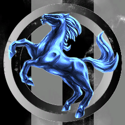 The Wild Stallions