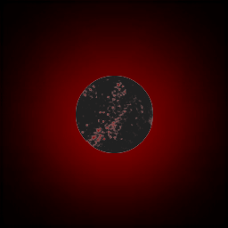 Black Sun Consortium