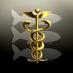 PROPUGNACULUM LUSITANO GALLICUM