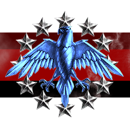NEW AMERICAN MILITARY INC