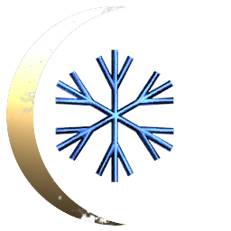 Semper Arcticus